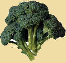 brocoli